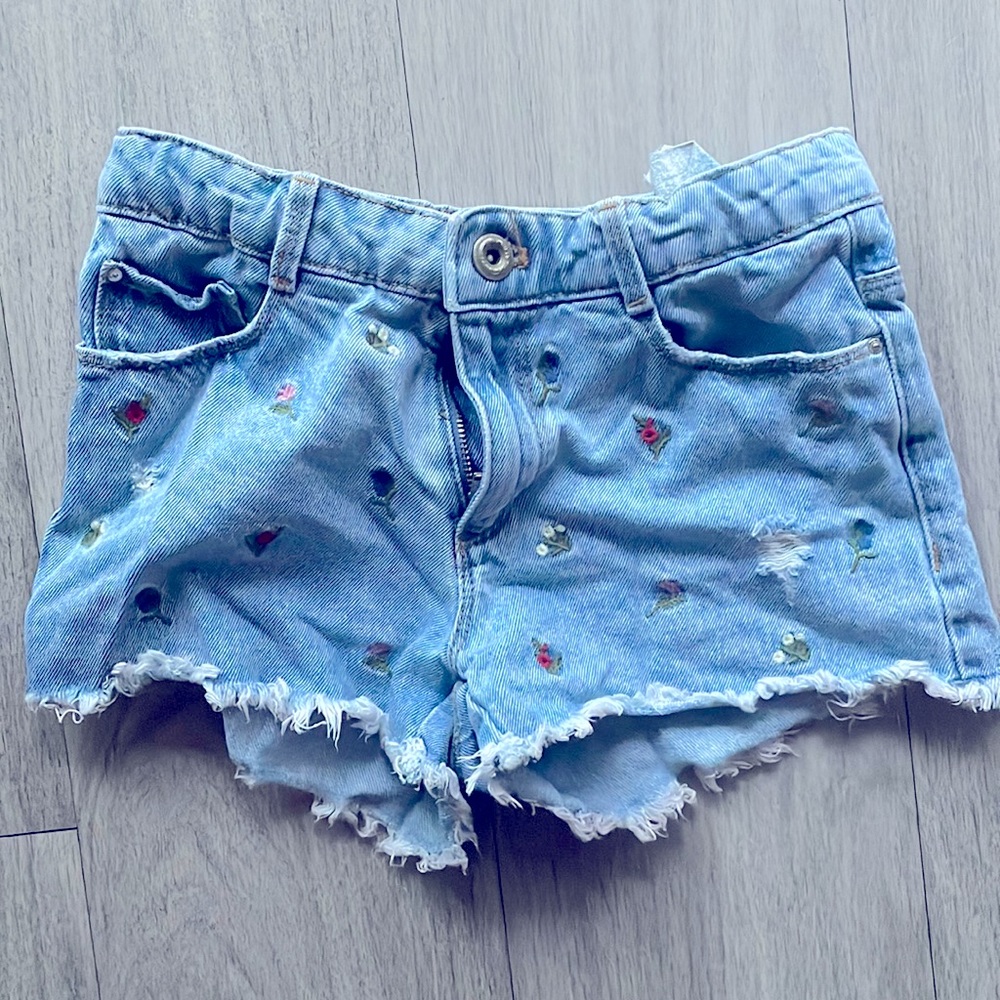 Zara Embroidered City-Off Shorts